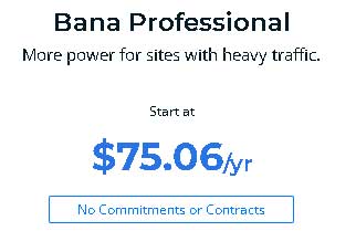 plan banahosting profesional anual